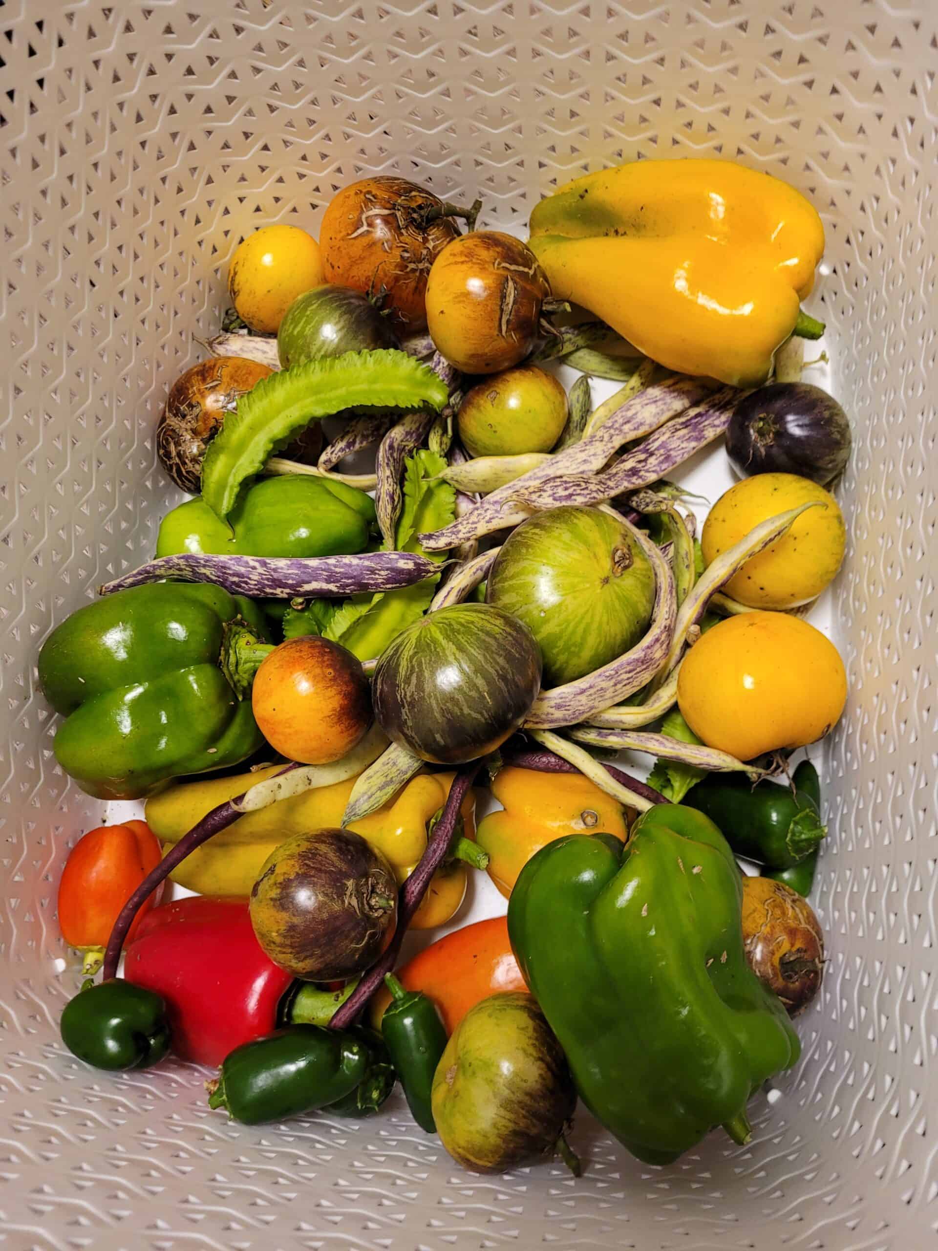 Vegetables in basket